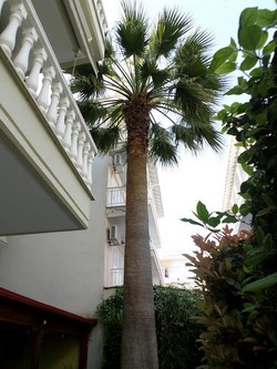 Φωτογραφίες από τους χώρους του ξενοδοχείου