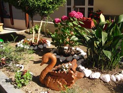 Φωτογραφίες από τους χώρους του ξενοδοχείου